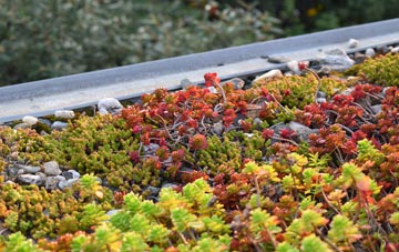 the cost of Middlecave green roof installation