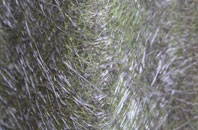 Middlecave fibreglass roof work